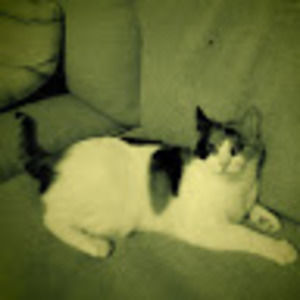 Meet your Posher, Maren